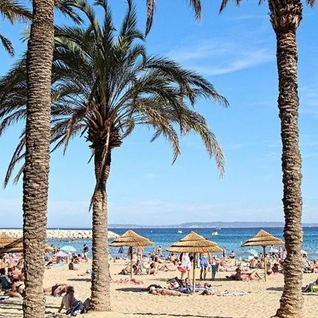 Duplex 3 Pieces Climatise Avec Piscine, Terrasse Et Parking - Ideal Famille Au Lavandou - Fr-1-251-732 Holiday home